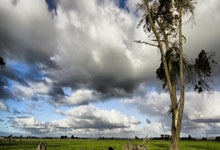 DB game-广州队力克太阳，浓眉哥扛起全队