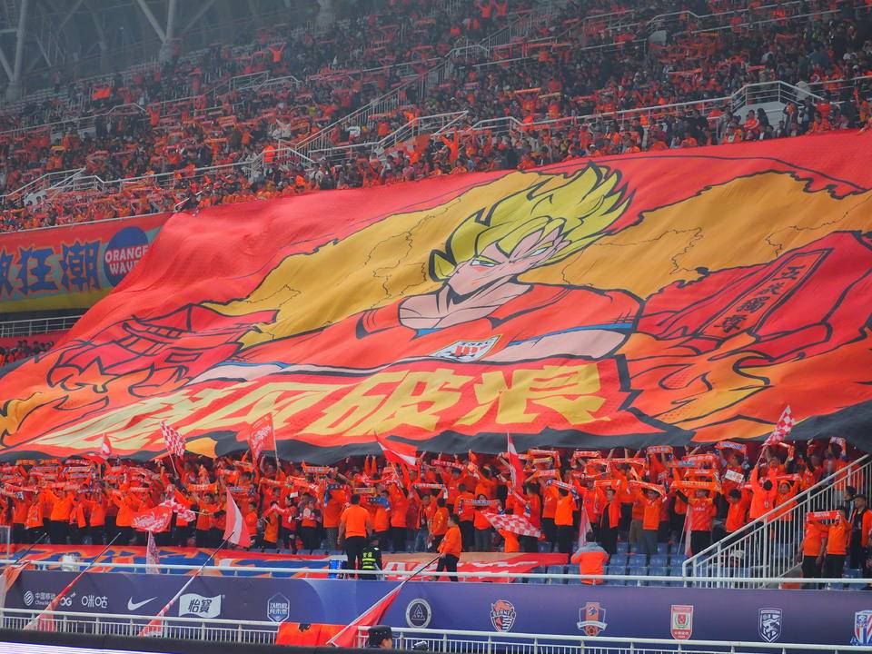 DB彩票官方网站-山东队新援表现抢眼，球队迎来转机的简单介绍