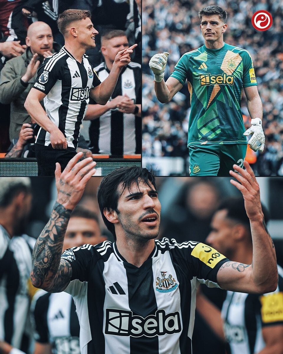 包含纽卡斯尔战胜对手，球迷心情异常高涨的词条